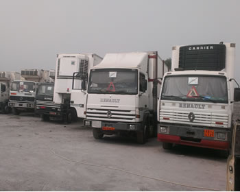 Le parc de camions frigorifiques